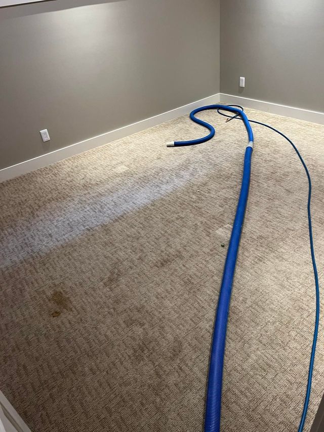 Sherwood Park Carpet Furniture Cleaning Steam Cleaning Area Rugs